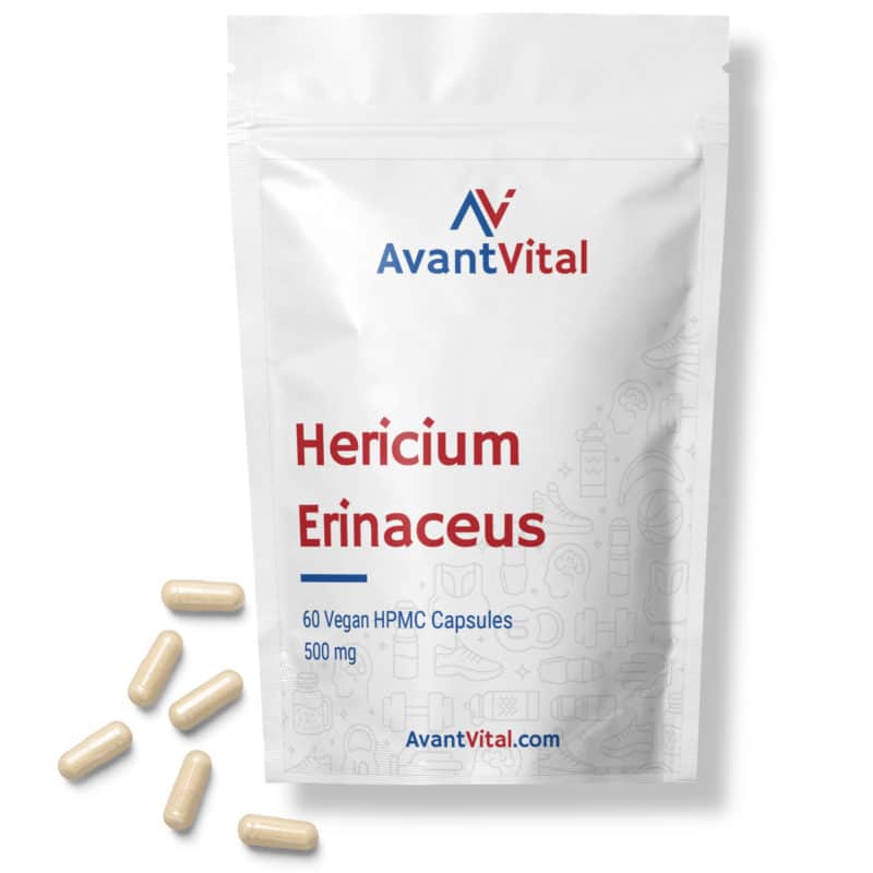 Hericium Erinaceus AvantVital NL Next Valley 2