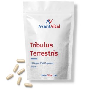 Tribulus Terrestris AvantVital NL Next Valley